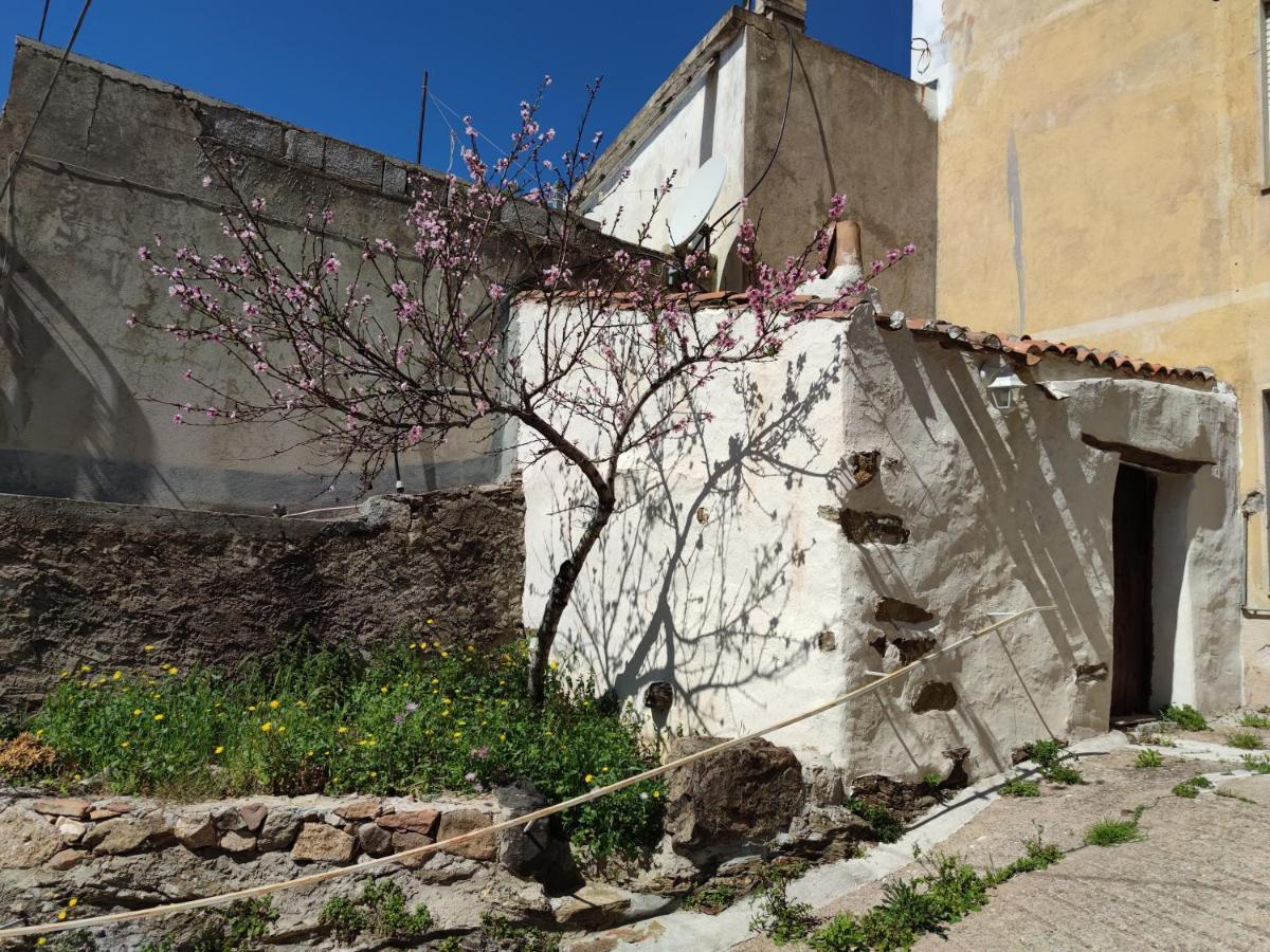 Sa Dommu 'E Su Coro Villa Triei Eksteriør bilde